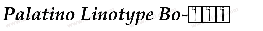 Palatino Linotype Bo字体转换
